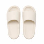 Luni™ CloudStep Slides